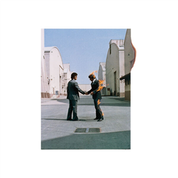 True MooZic: Pink Floyd - Wish You Were Here (B42)