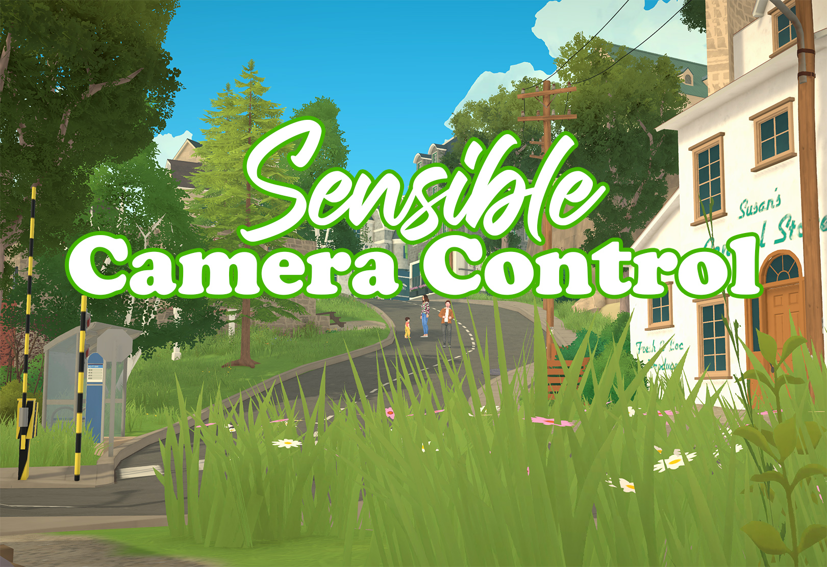 Sensible Camera Control