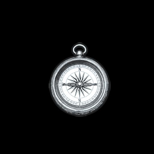 Compass 1