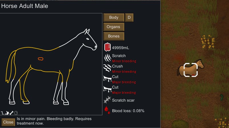 Screenshot 11