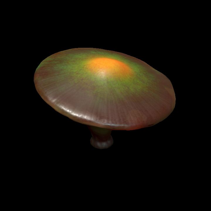 Mushroom_Middle_1_3