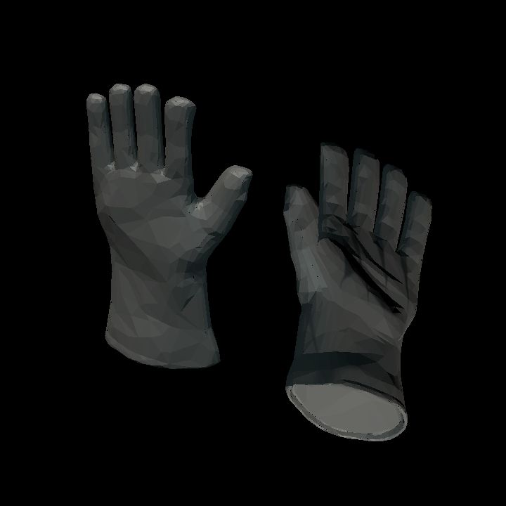 Gloves pair standing colourable