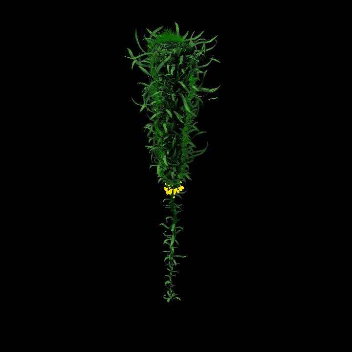 Creepvine #1