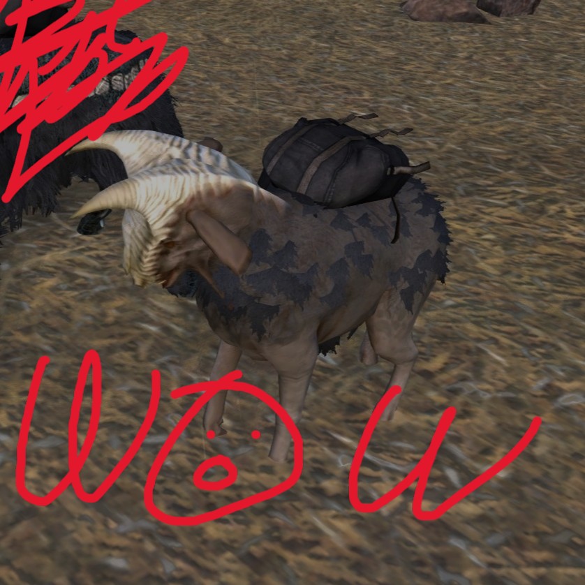 Backpacks for Goats preview
