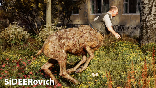 SiDEERovich