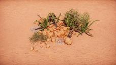 Desert paleo cluster