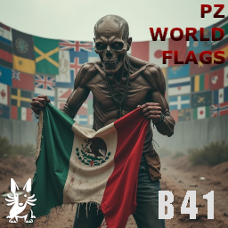 B41 World Flags