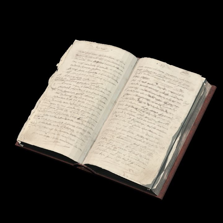 Book, Frantic Cursive (Angled)