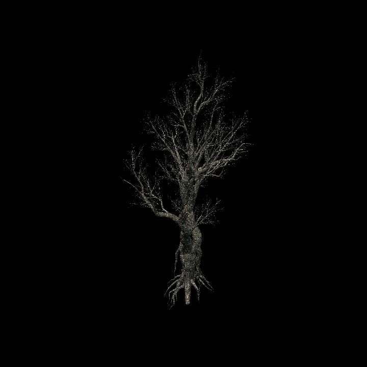 Nature, Tree, Bare 9