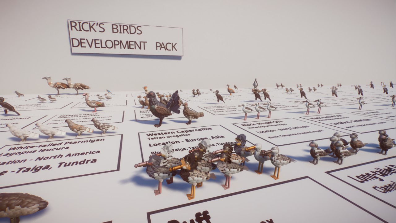 Rick's Birds - BOTW preview