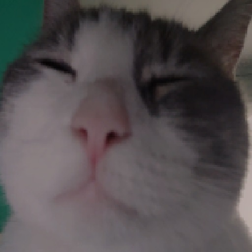 pecky cubo