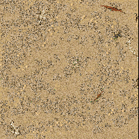 Greater Barren Desert