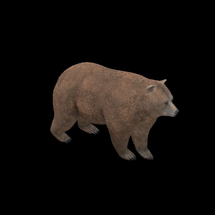 Creature, Animal, Bear 1