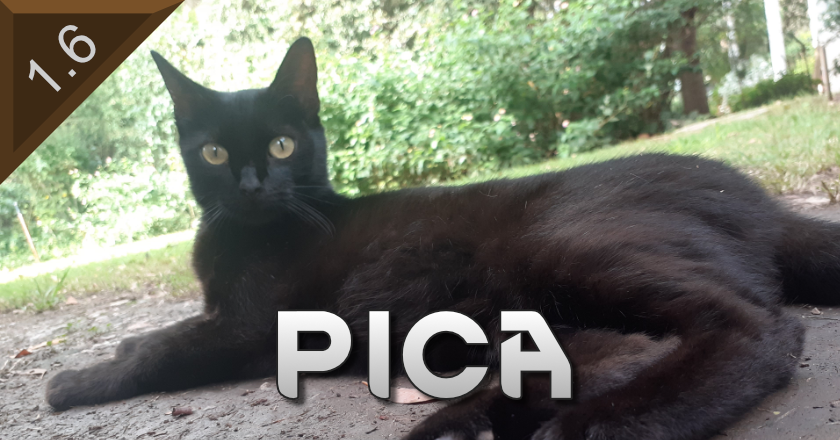 Pica