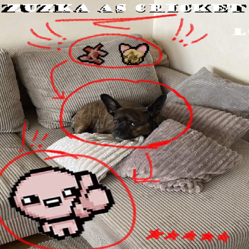 zuzka as cricket