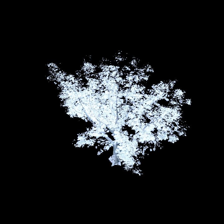 Ice - tree 3