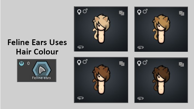 Feline Ears Uses Hair Colour