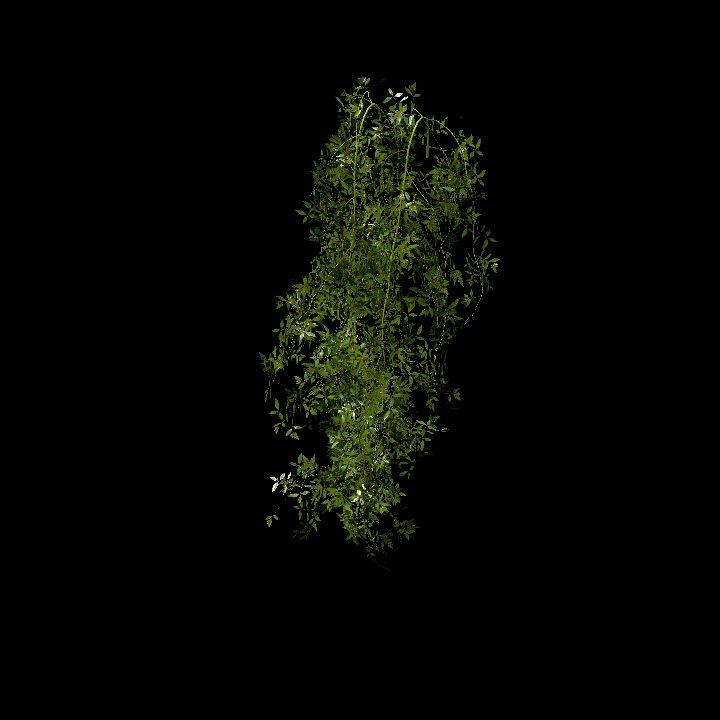 Hanging plants_01