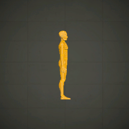 ballistic dummy