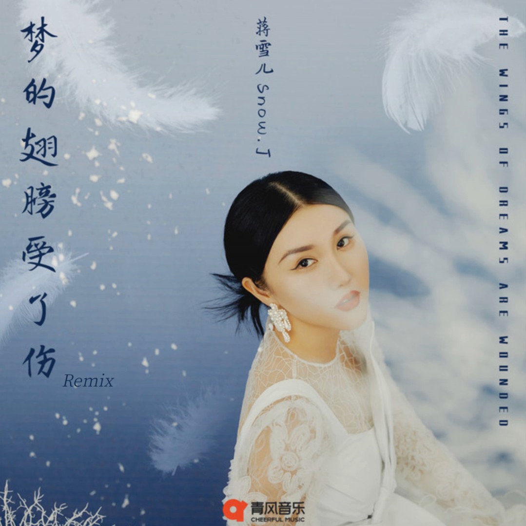 夢的翅膀受了傷 (DJ阿智版) preview