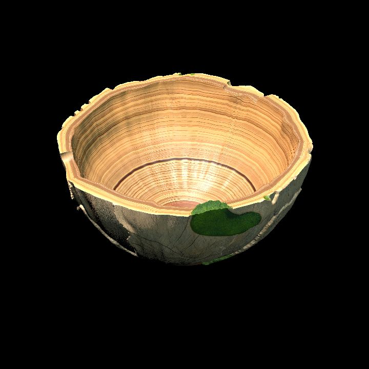 Rustic bowl
