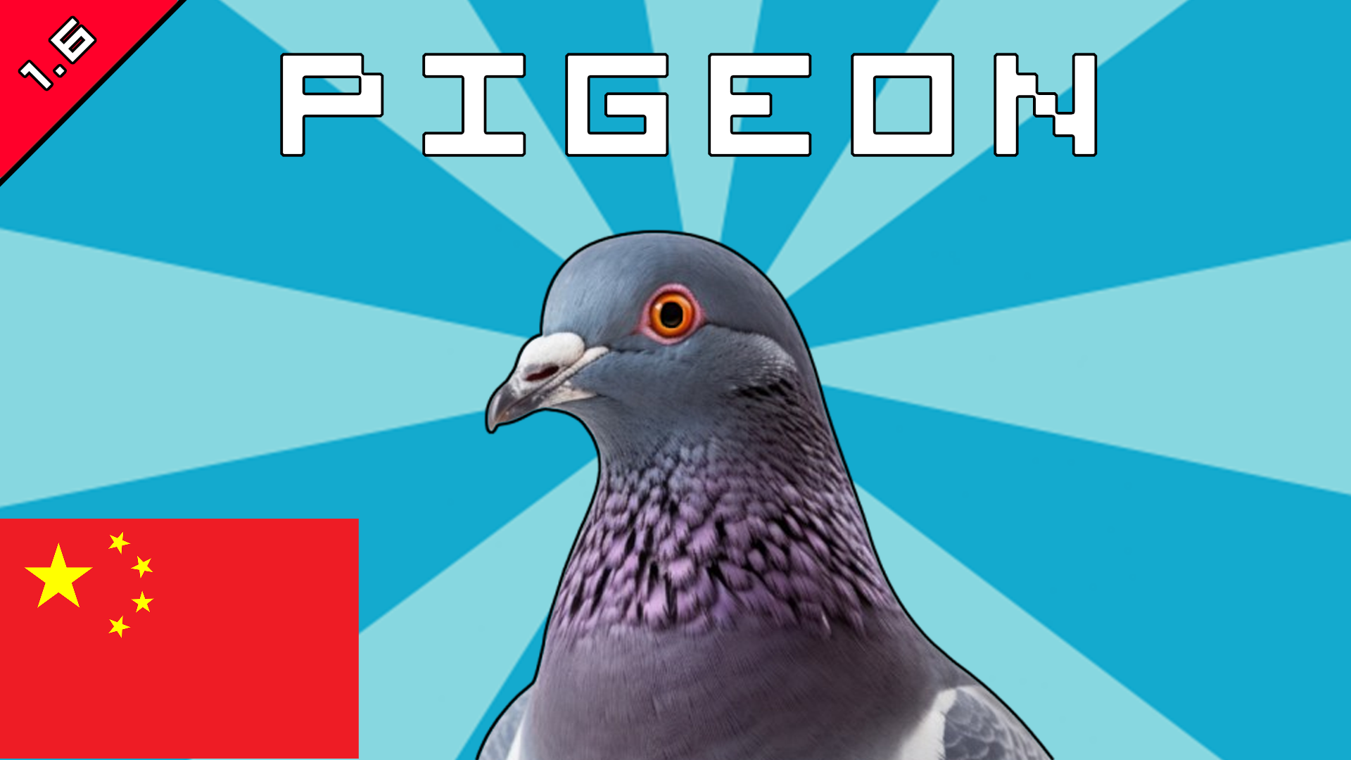 pigeon（鸽子）中文翻译
