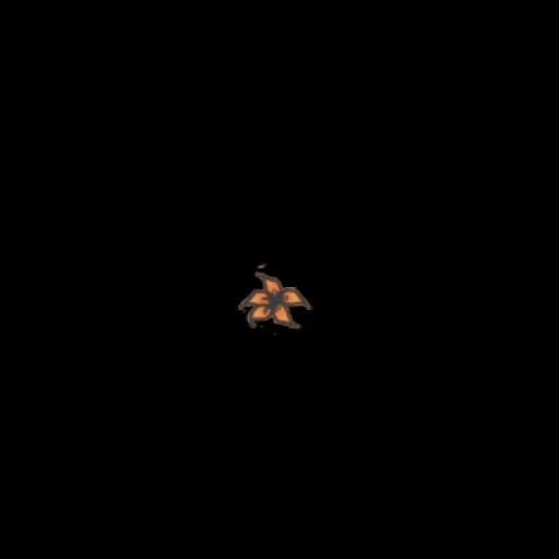 Single flower colored 3