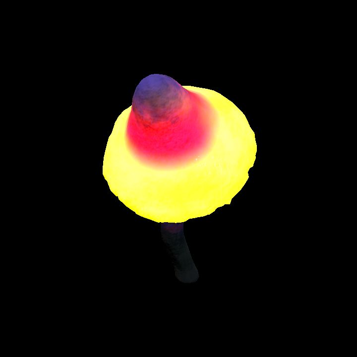 Mushroom_Middle_10_4