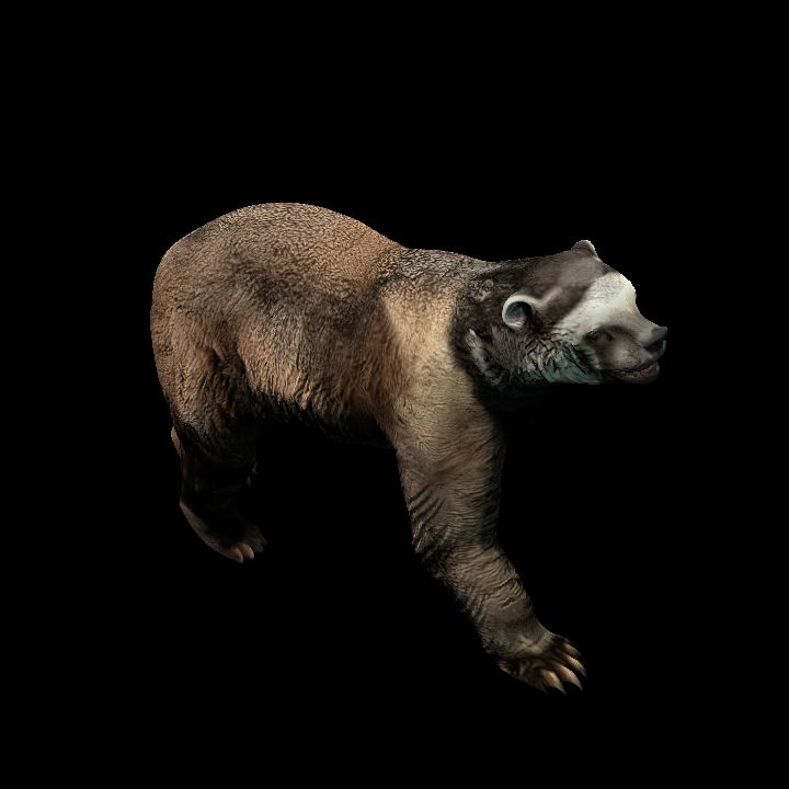 Short-Face Bear V2