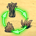 浆果丛转换 – Don't Starve Together Mod