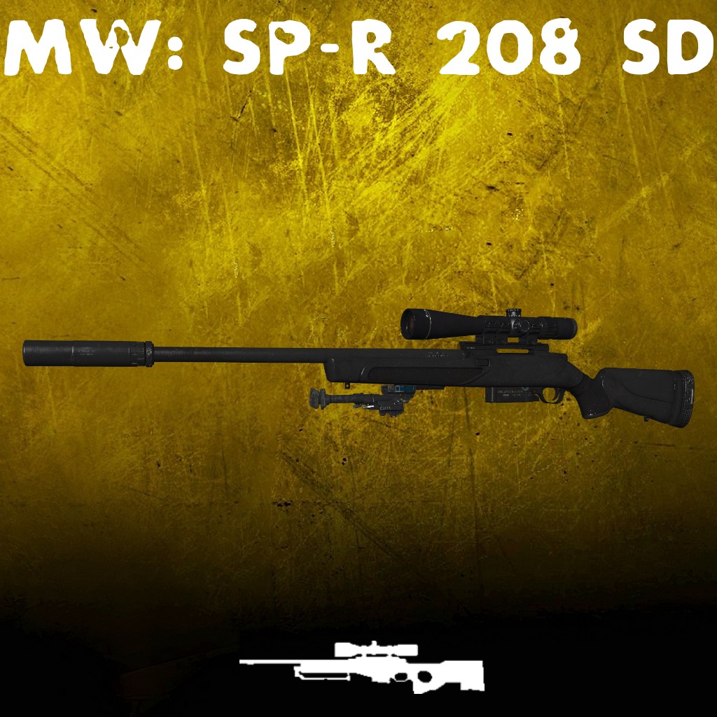 MW19: SP-R 208 SD (AWP) preview
