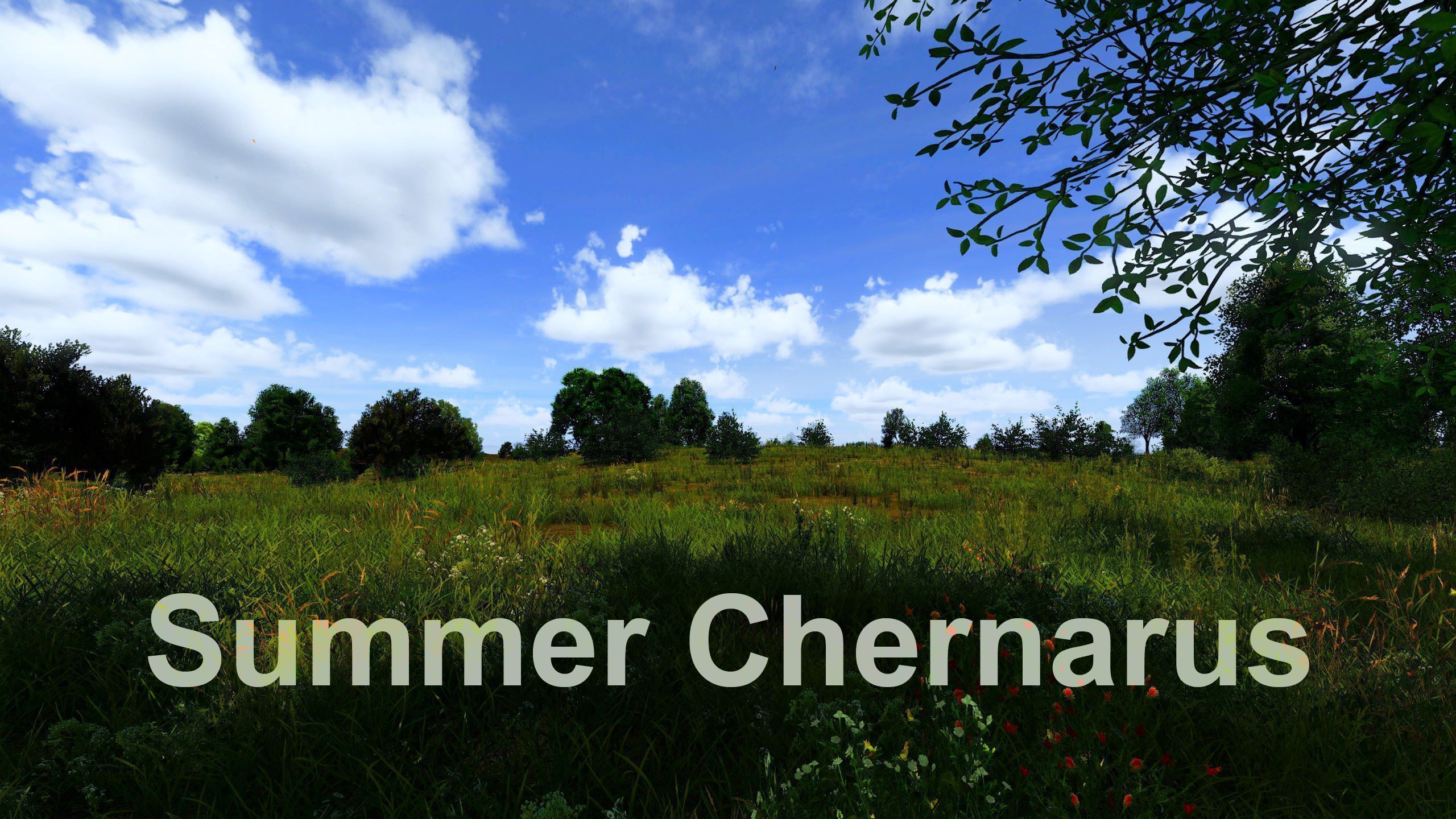 CJ187-SummerChernarus