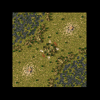 stsw02
