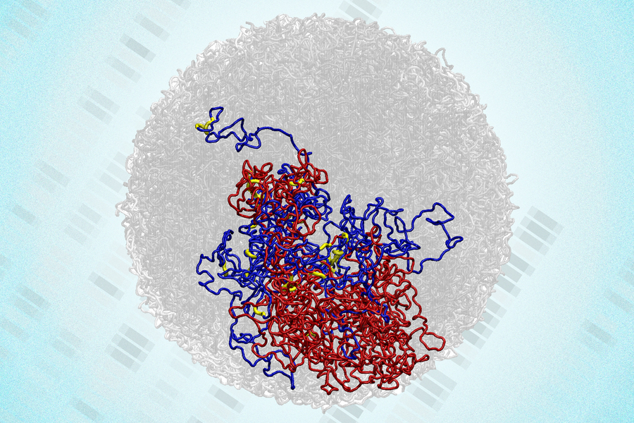 cheap genome preview
