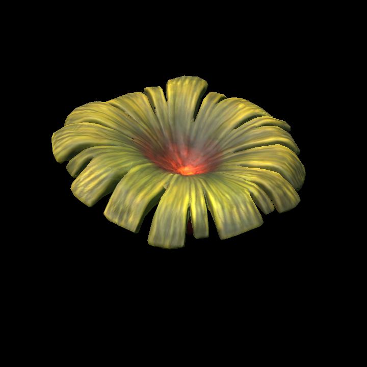 Mushroom_27