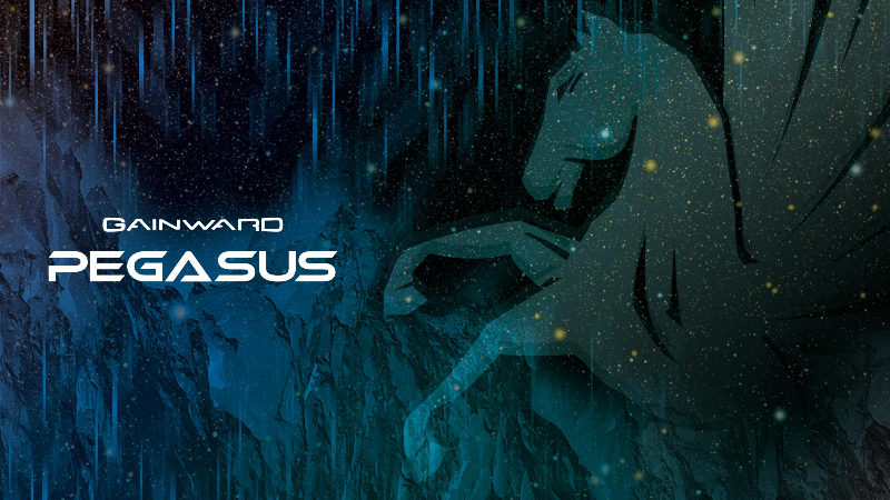 Gainward Pegasus