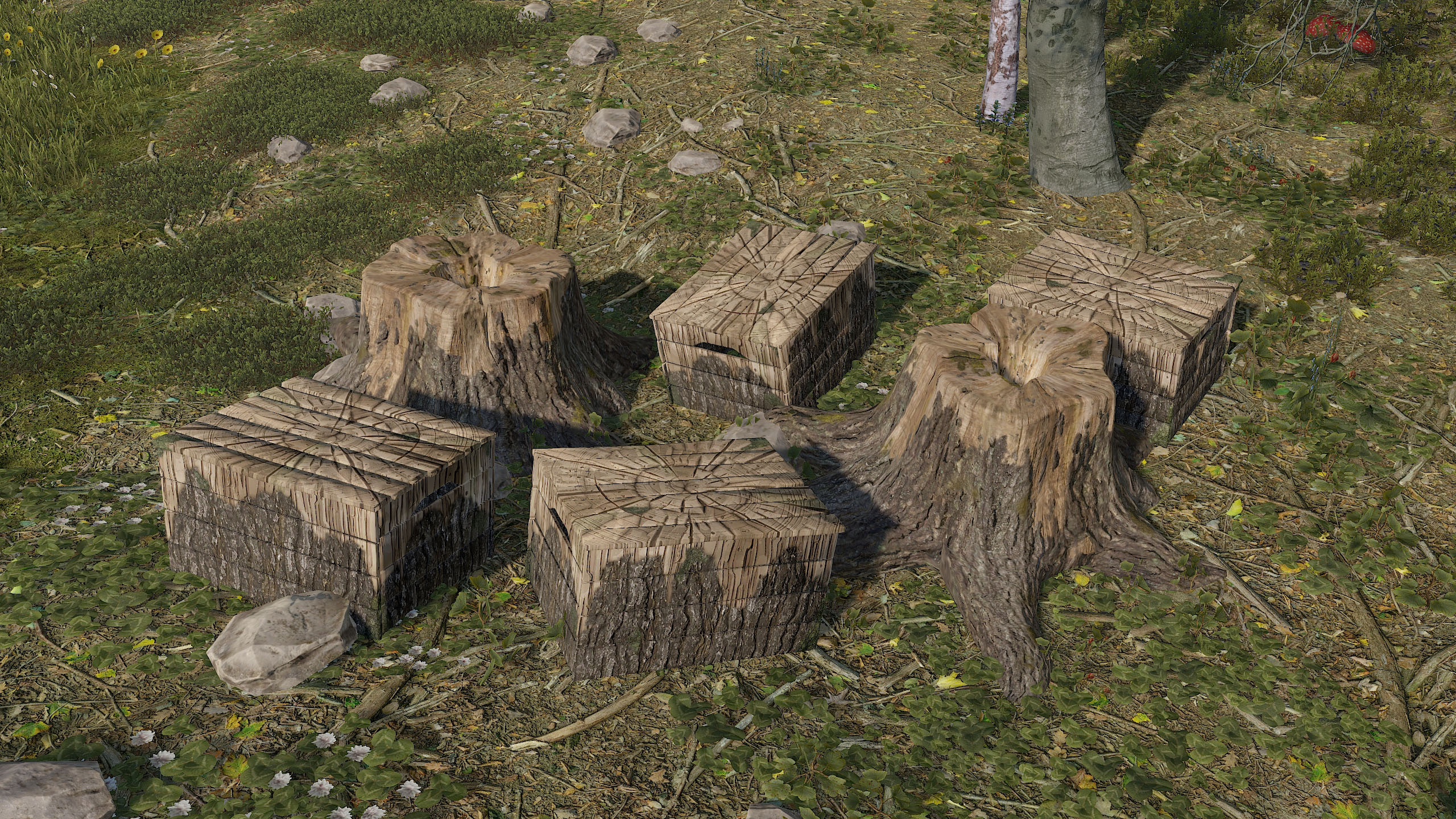 Stump Box thumbnail 2