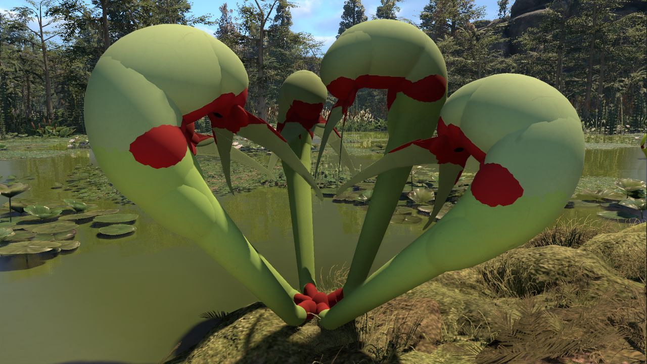 MPP Cobra Lily (Darlingtonia californica)
