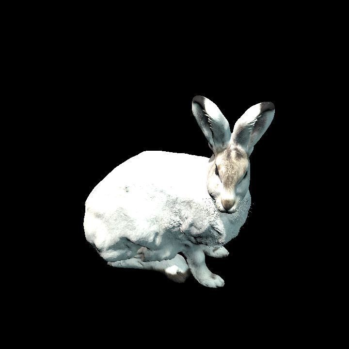 Arctic Hare