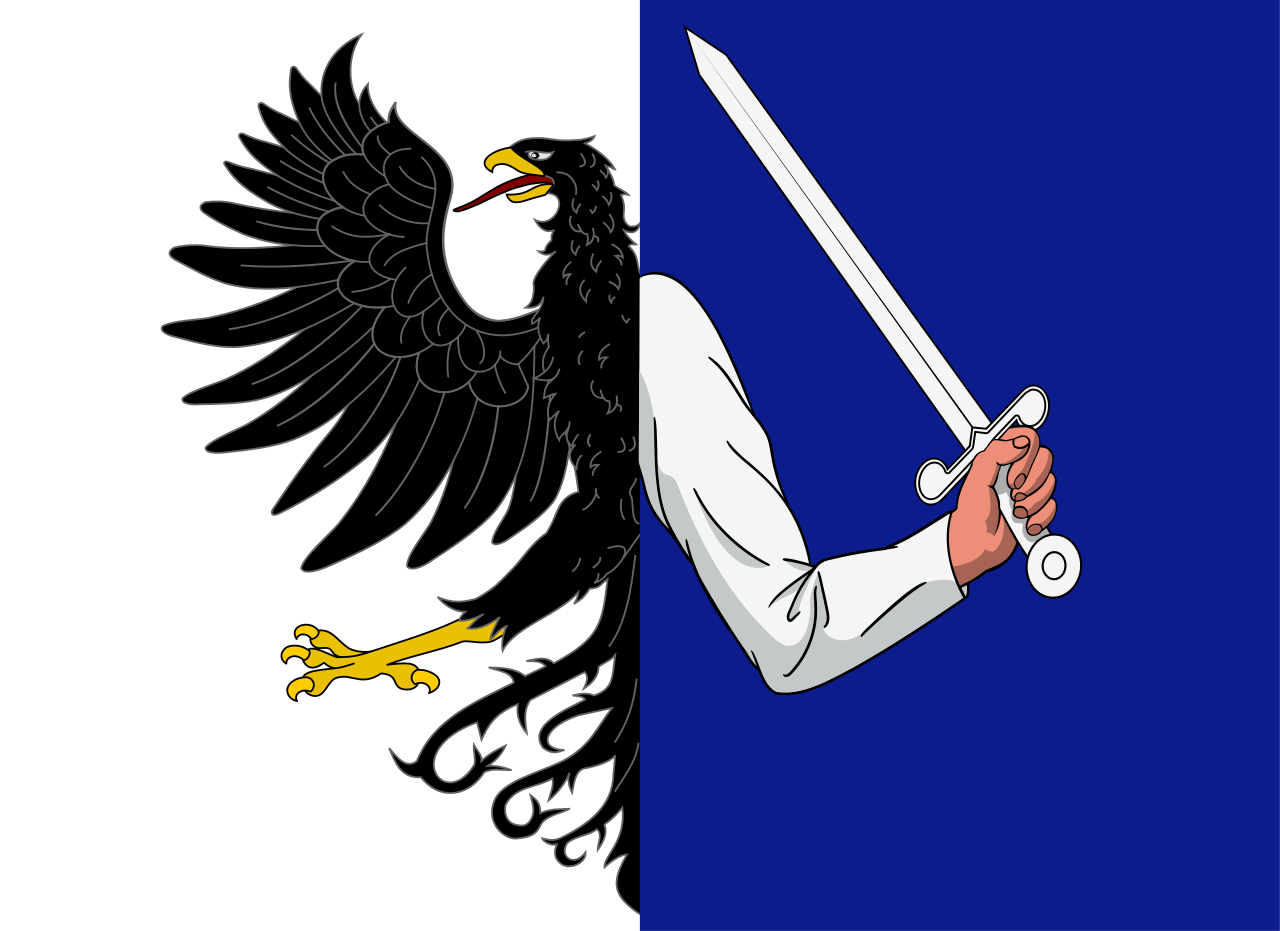 Connacht Flag preview
