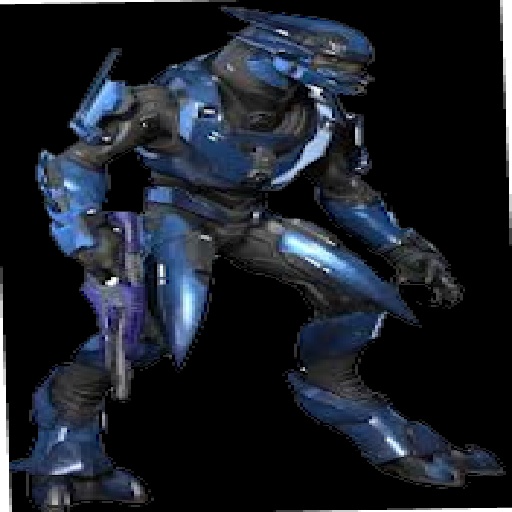 halo 12345