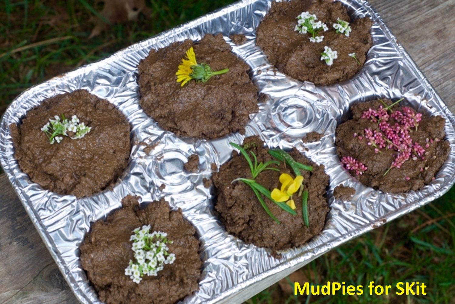MudPie recipe for SKit