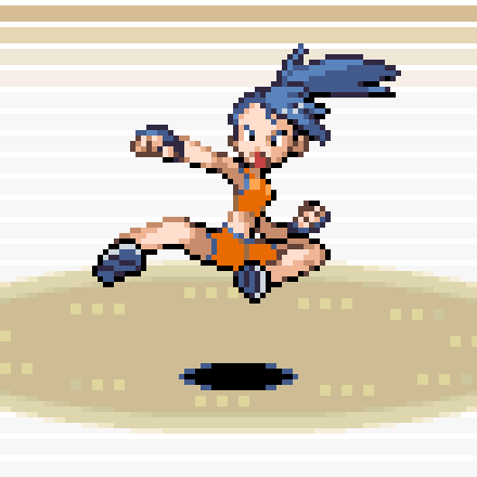 Pokémon Gym