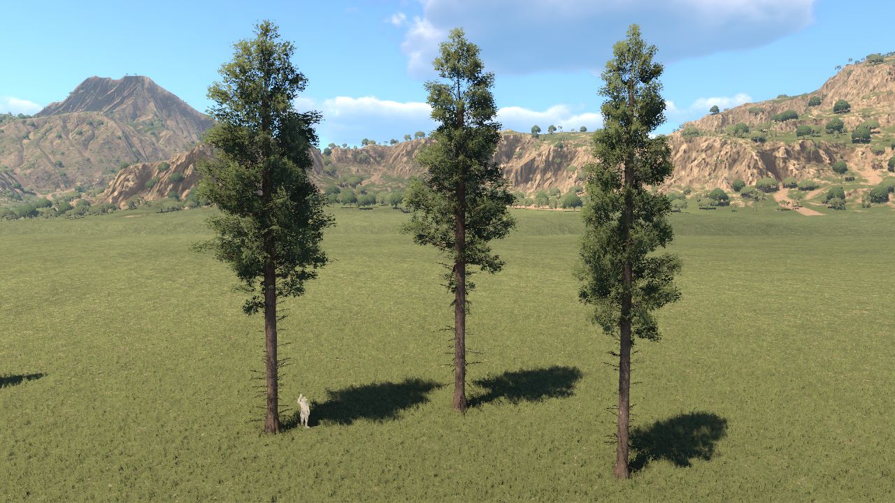 Large Pines