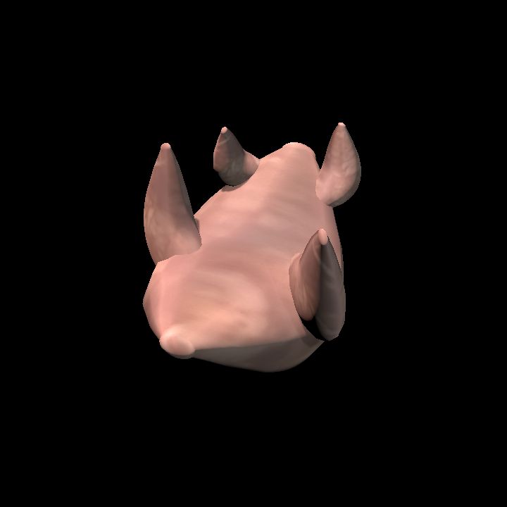 Flesh Bug Upside Down