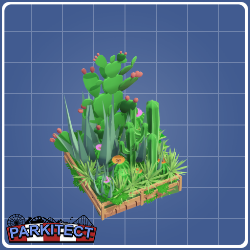 1x1 cactus garden