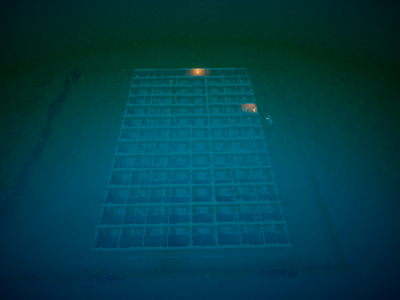 The Maze (Beta)