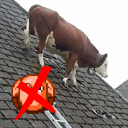Roof Ranching