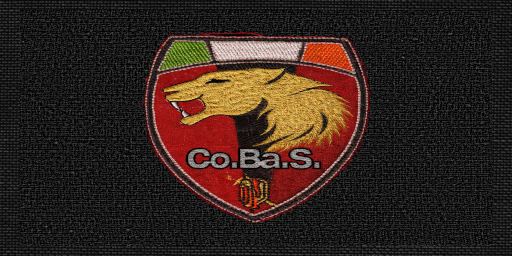 COBAS Patch
