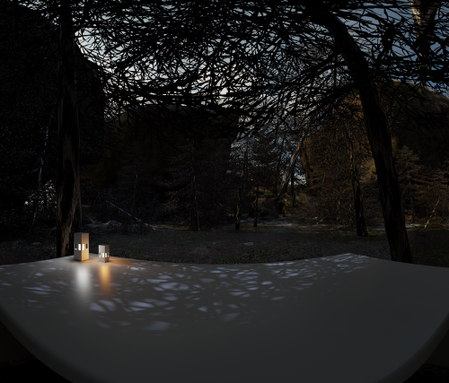 Hidden mountain forest